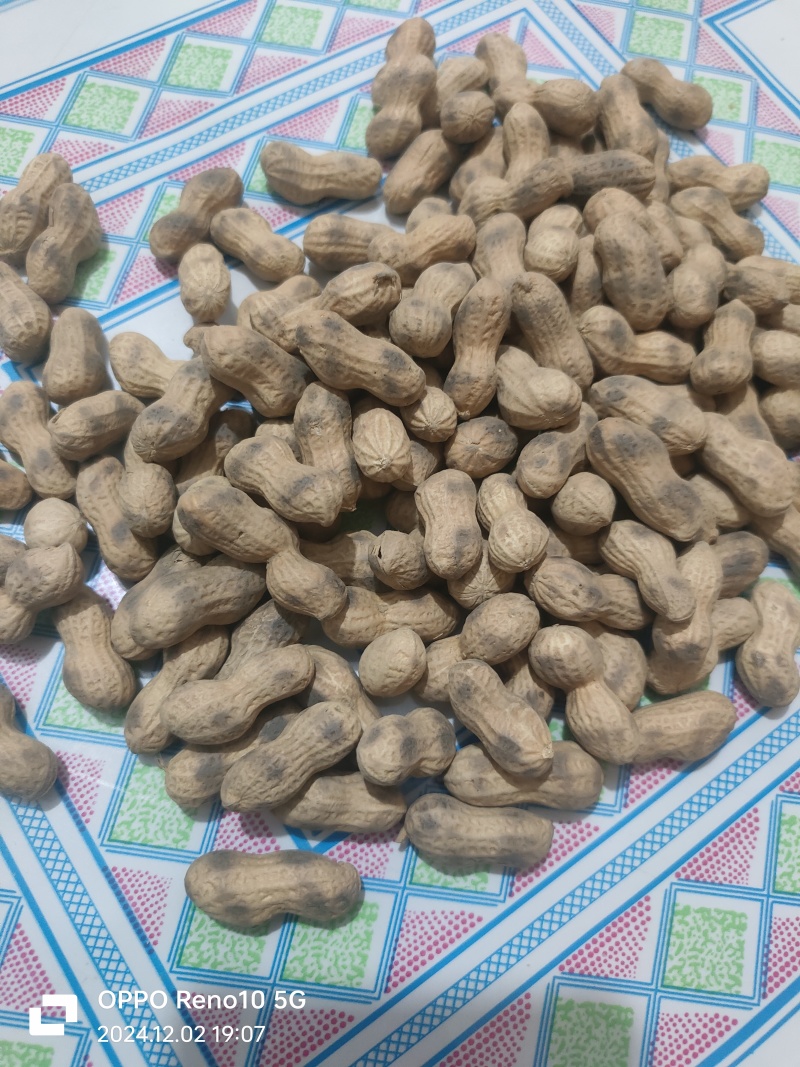 原味花生铁锅炒花生小珍珠花生锅贴花生虎皮花生