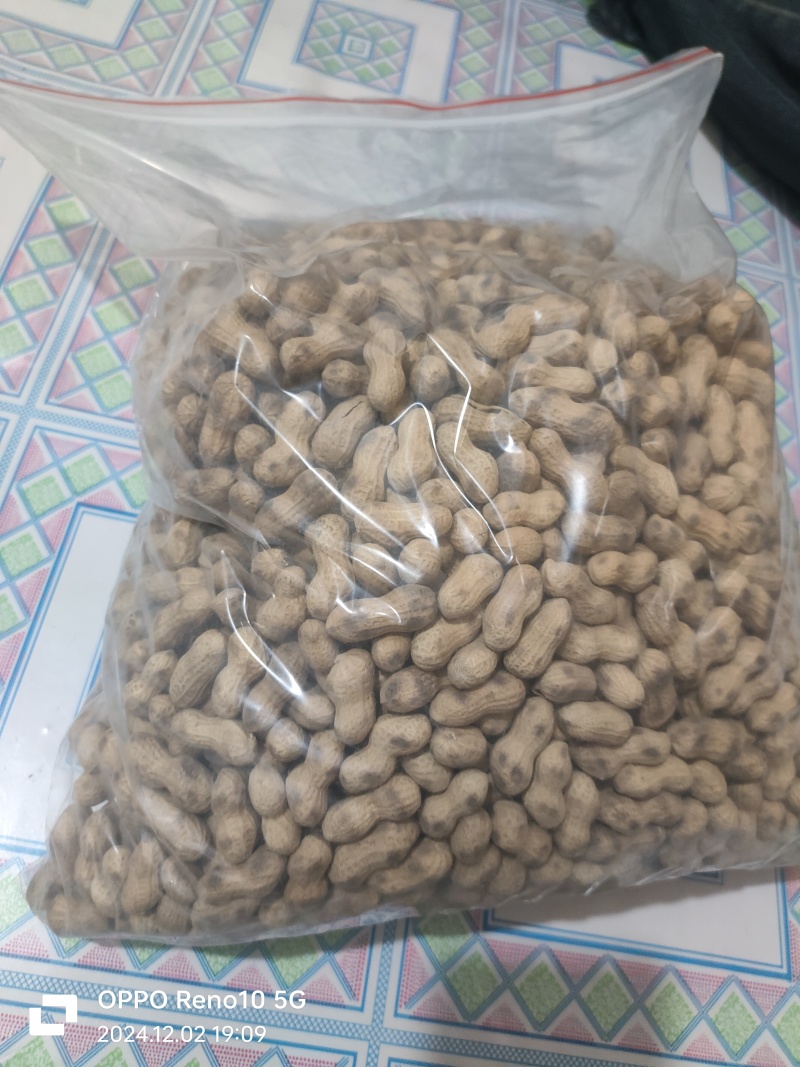 原味花生铁锅炒花生小珍珠花生锅贴花生虎皮花生
