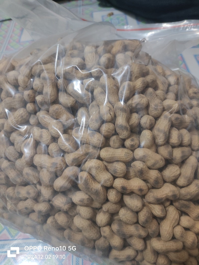 原味花生铁锅炒花生小珍珠花生锅贴花生虎皮花生