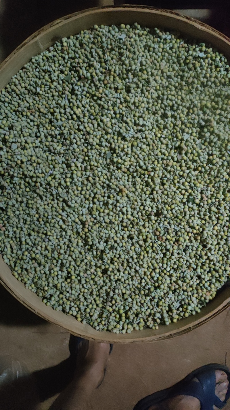 江西单叶蔓荆子