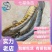 七星鱼苗月鳢鱼山斑鱼花星鱼观赏鱼广州包邮渔场直供量大从优