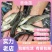 优质草鱼苗鲩鱼苗四大家鱼青鱼苗广州淡水活体包邮