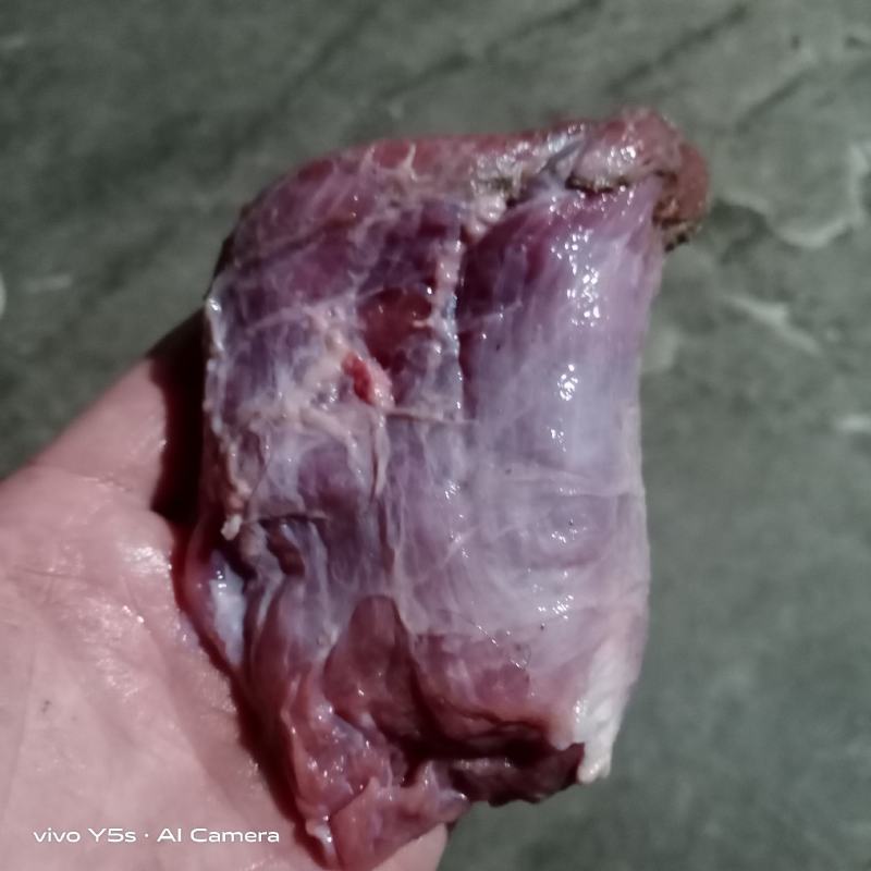 清真纯干无调理无注水牛碎肉厂家直销质量保证