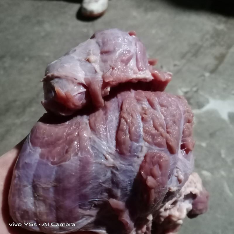 清真纯干无调理无注水牛碎肉厂家直销质量保证