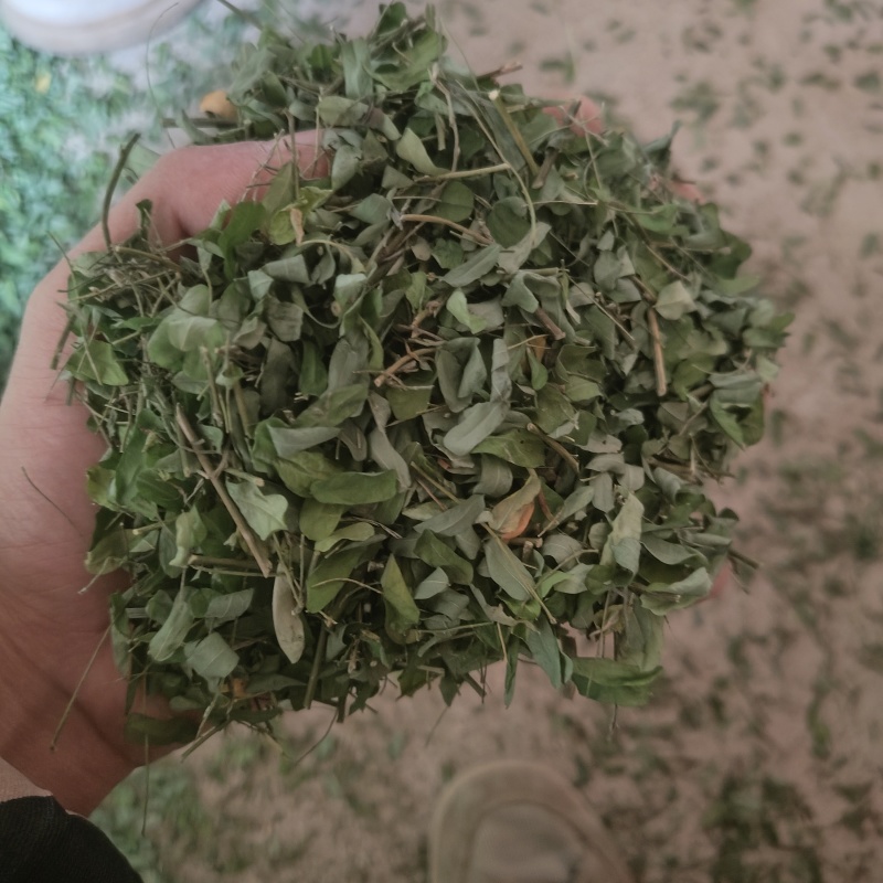 鸡骨草30斤/1件，大叶鸡骨草，想要货的请在一亩田留言
