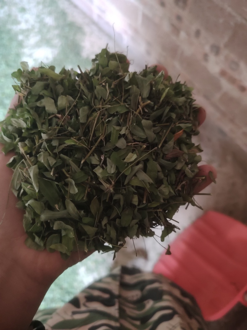 鸡骨草30斤/1件，大叶鸡骨草，想要货的请在一亩田留言