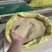 豆粕混合发酵饲料可代替全价料直接喂养