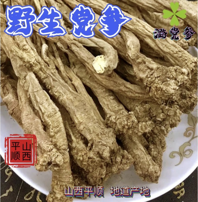 野生党参通货山党参天然***剂500g包邮