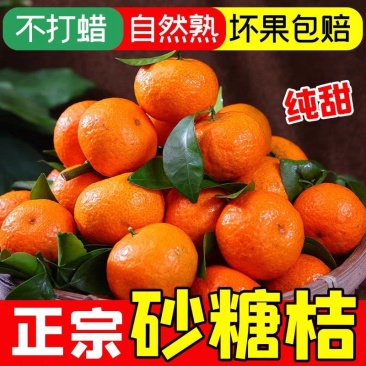 【4.5斤沙糖桔】广西沙糖桔/桂林沙糖桔/产地直一件代发