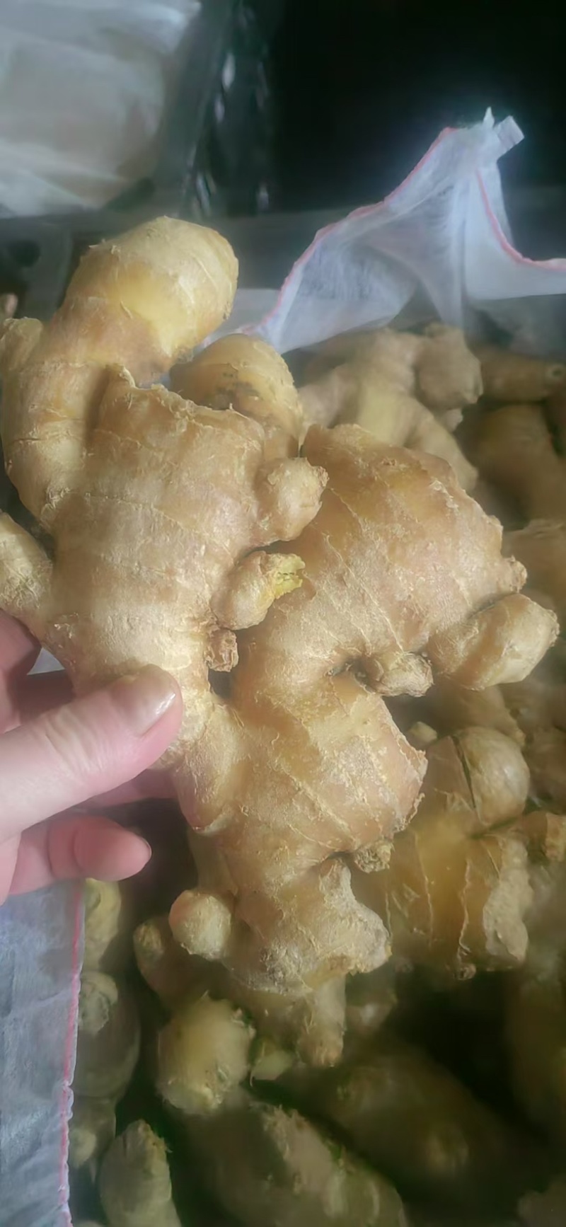 山东大姜烘干大姜产地批发版型大货源充足