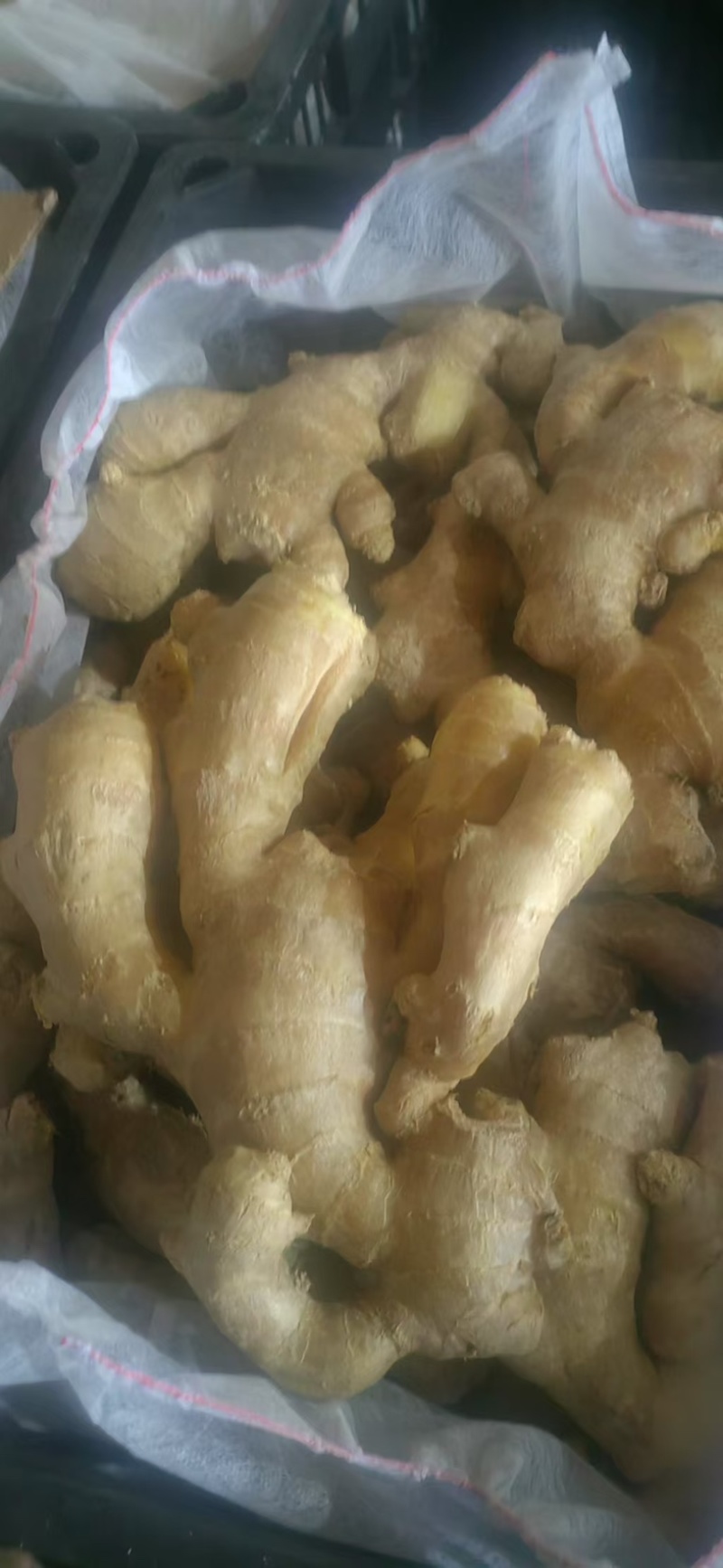 山东大姜烘干大姜产地批发版型大货源充足