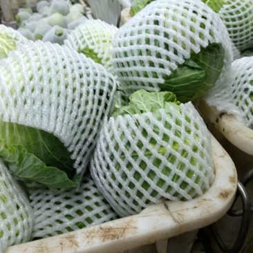 包菜