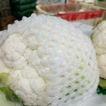 白椰花