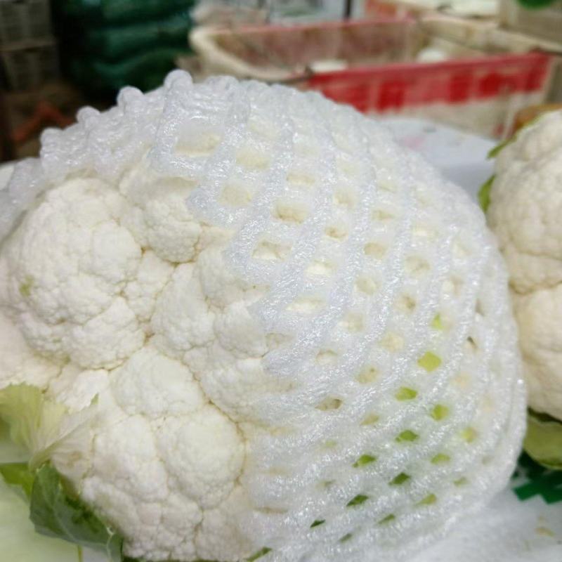 白椰花