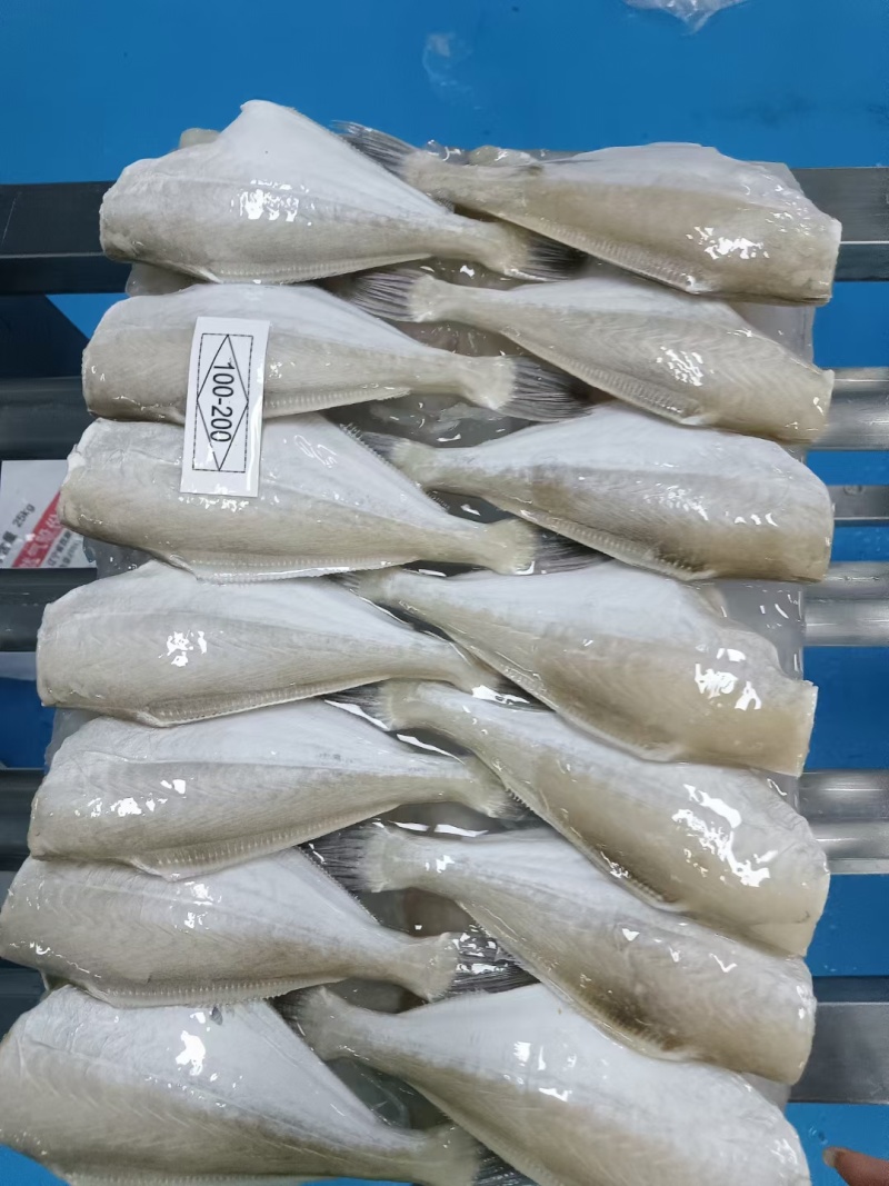 广西北海马面鱼，黑尾正品A货。单冻，板冻多规格供应。