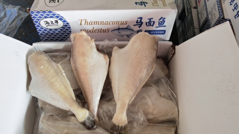 广西北海马面鱼，黑尾正品A货。单冻，板冻多规格供应。