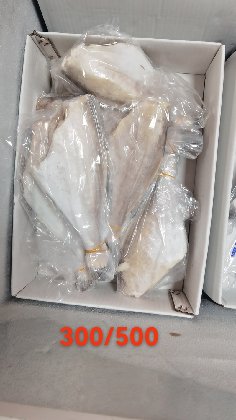 广西北海马面鱼，黑尾正品A货。单冻，板冻多规格供应。
