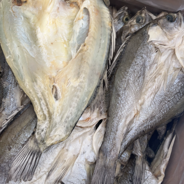 开边海鲈鱼干地摊电商批发鲈鱼干干鲈鱼鱼干干鱼