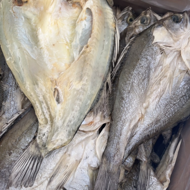 开边海鲈鱼干地摊电商批发鲈鱼干干鲈鱼鱼干干鱼