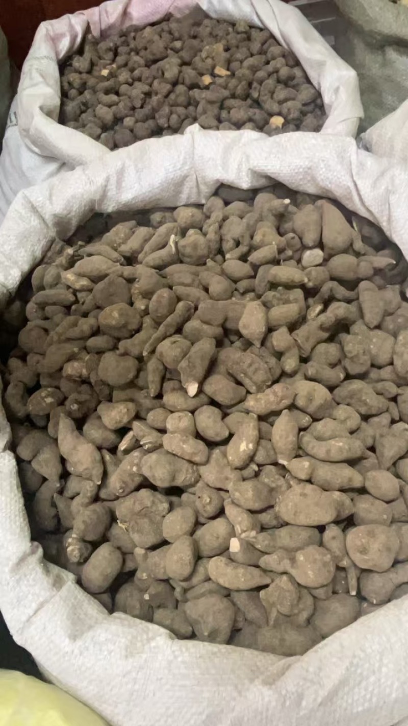三叶青无硫全干净货出售各类冷背规格齐全可供实体店