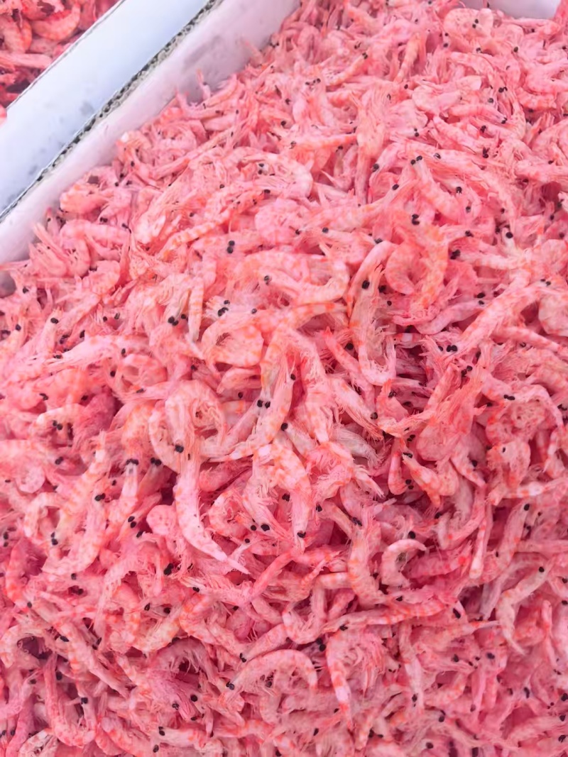 【实力】磷虾新货淡干红虾皮工厂直发支持包装定制全国发货