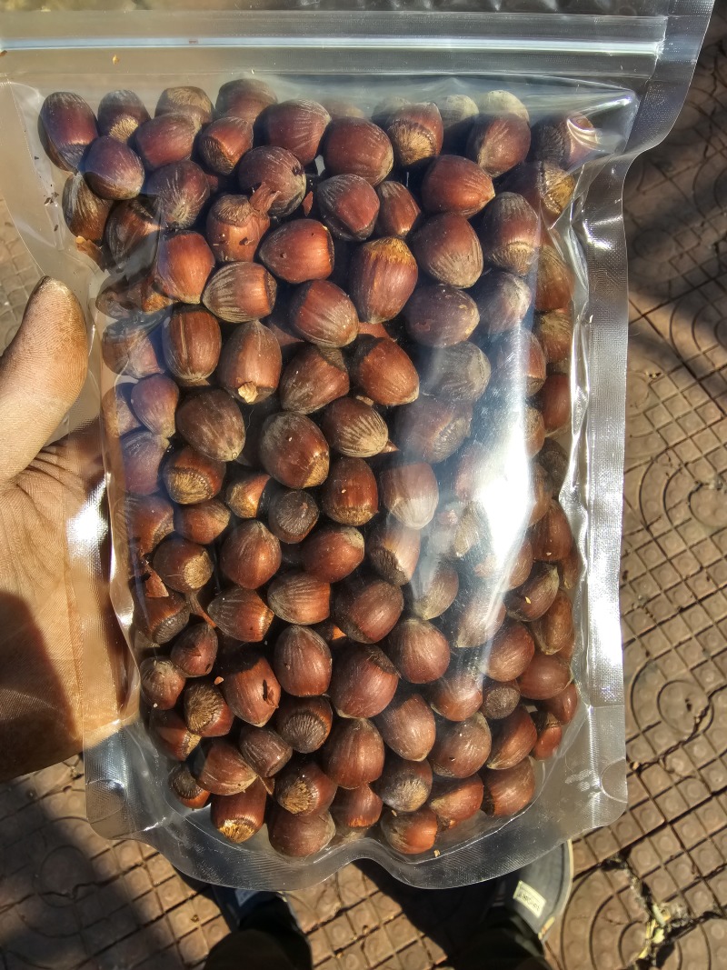 熟榛子薄皮大榛子现炒现卖口感香酥一手货源产地直发