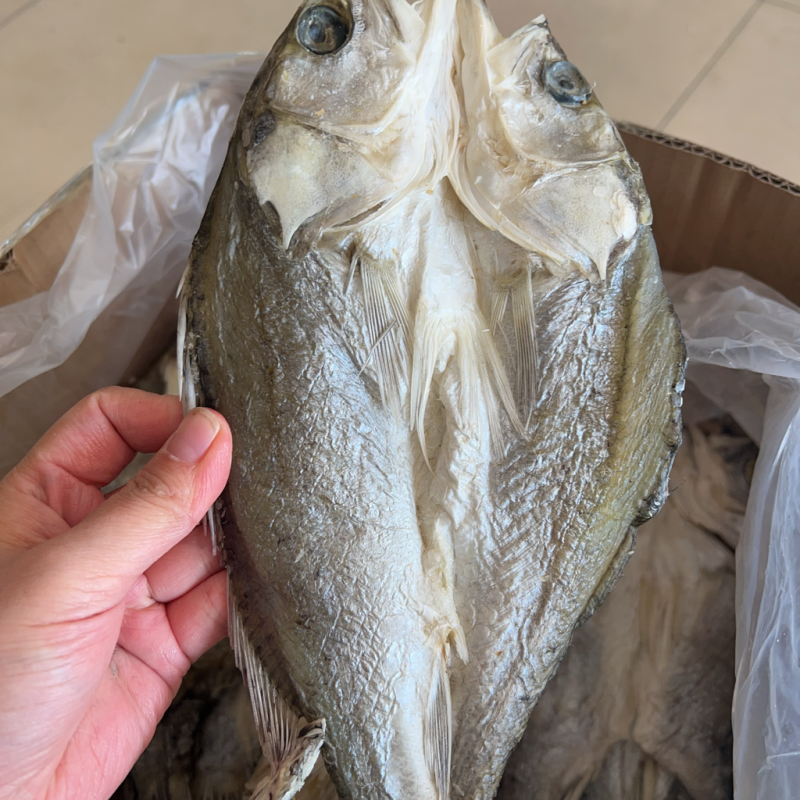 开边海鲈鱼干地摊电商批发鲈鱼干干鲈鱼鱼干干鱼