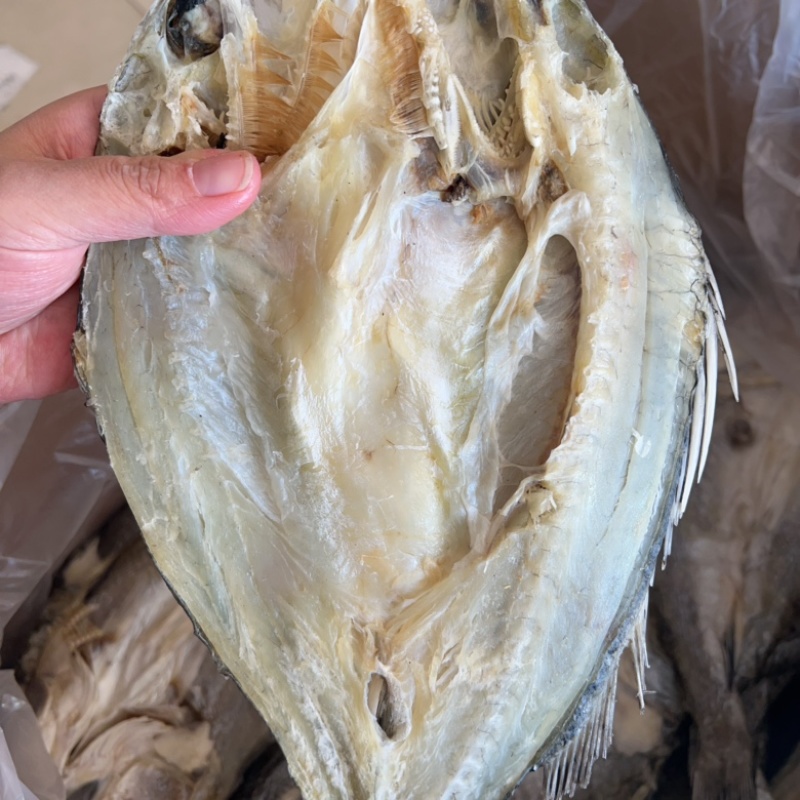 开边海鲈鱼干地摊电商批发鲈鱼干干鲈鱼鱼干干鱼