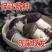 云南山珍仿野生赤松茸25/斤仿野生熊掌菌30/斤