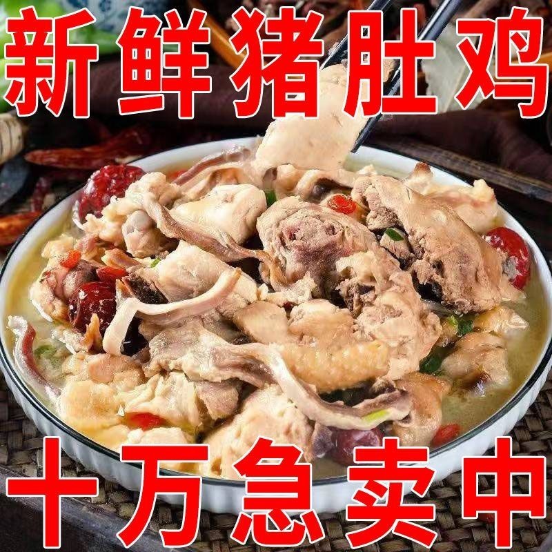 猪肚鸡每袋250克整箱50袋