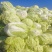 白菜大量出货中，价格已经跌到了谷底，需要的可以大量入手了
