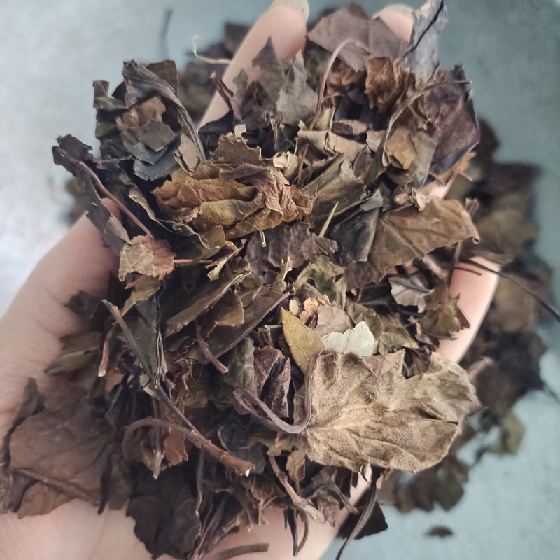 鹿衔草，无硫无杂质，一手货源，保质保量，批发各种中药材欢