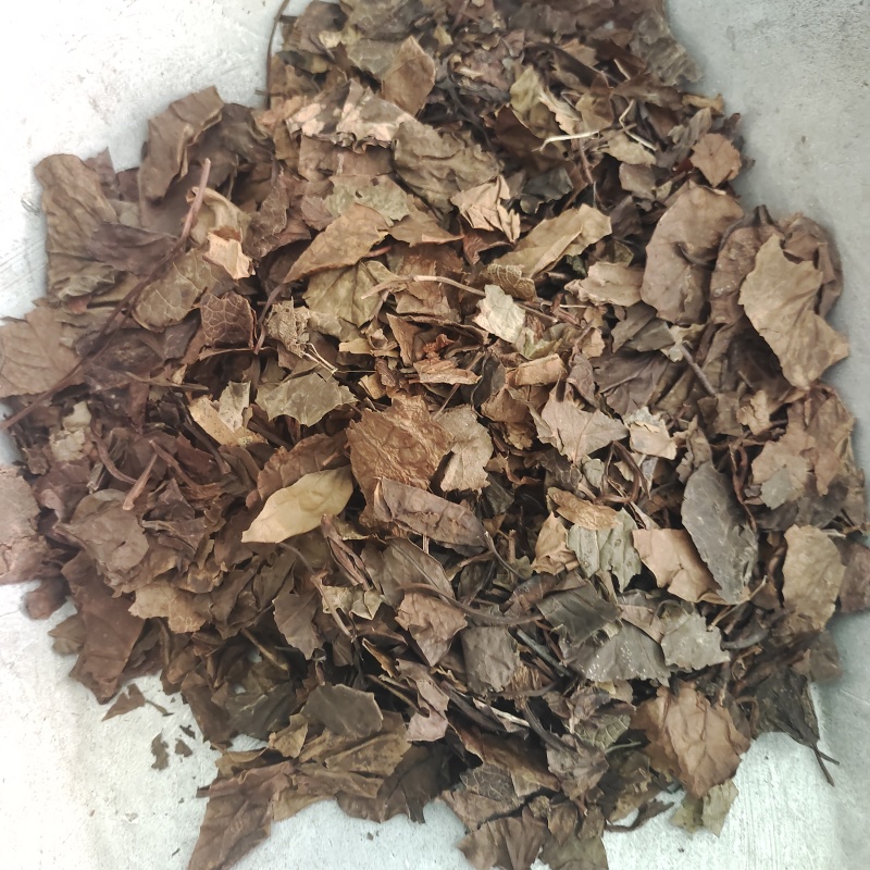 鹿衔草，无硫无杂质，一手货源，保质保量，批发各种中药材欢