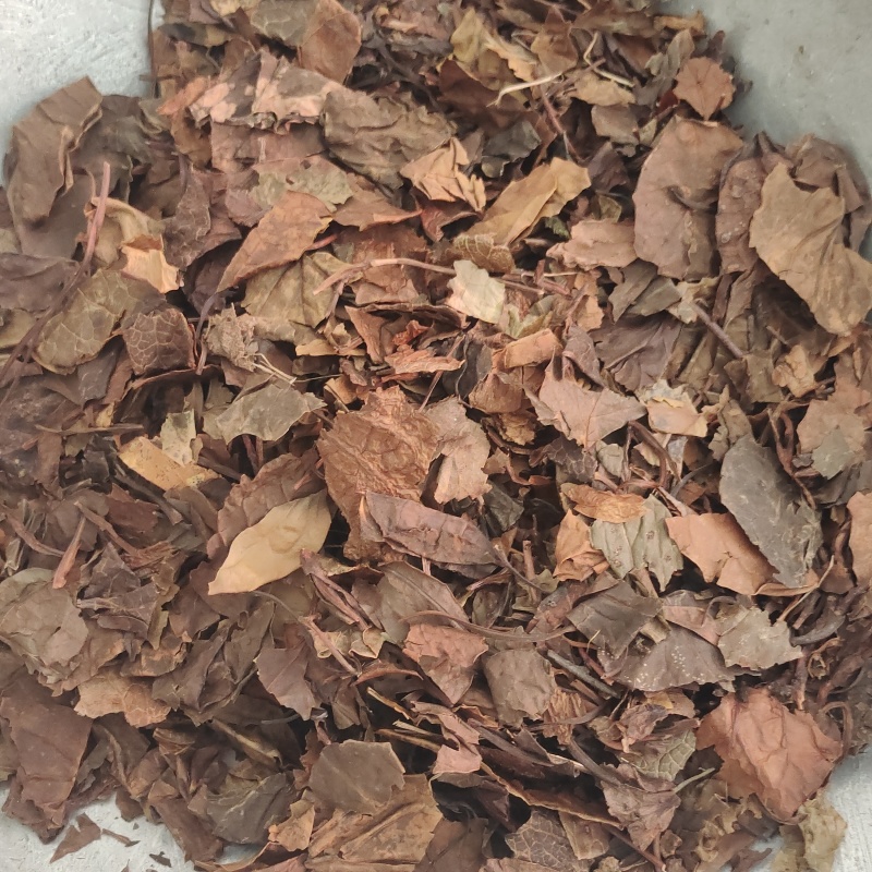 鹿衔草，无硫无杂质，一手货源，保质保量，批发各种中药材欢