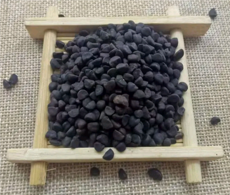 黑丑，牵牛子，新货无杂质，一手货源，本店批发各种中药材