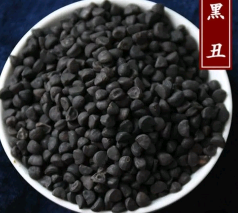 黑丑，牵牛子，新货无杂质，一手货源，本店批发各种中药材