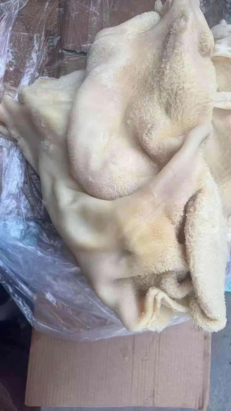 全熟水煮牛肚，厂家直销，一手货源。品质高，可定制