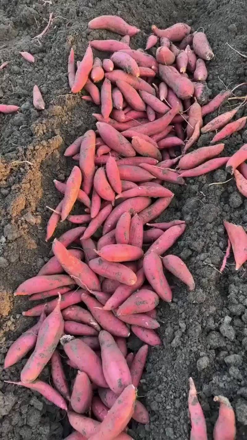 西瓜红
