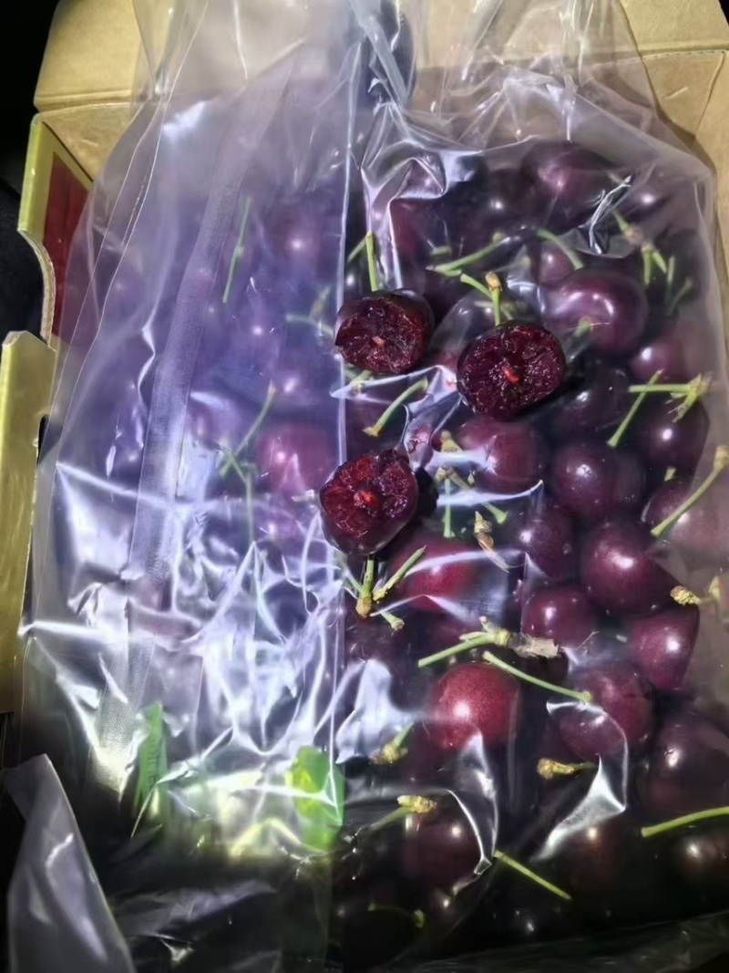 智利原装进口车厘子桑缇娜2合一