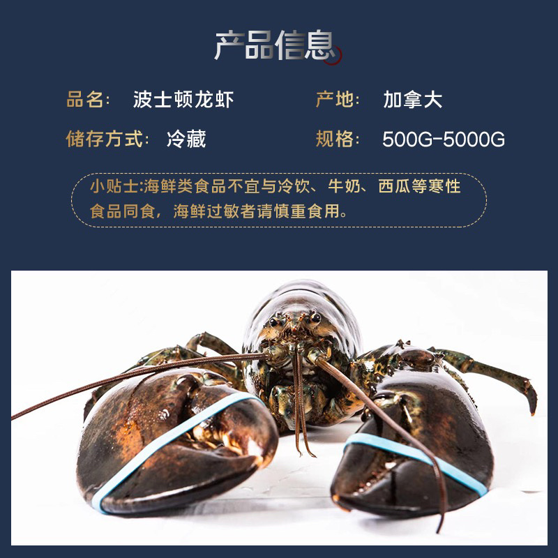 美洲鳌龙虾波士顿龙虾加拿大龙虾