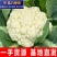 【精选】花菜青梗白面散花菜松花菜千亩基地直发