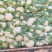 【精选】花菜青梗白面散花菜松花菜千亩基地直发