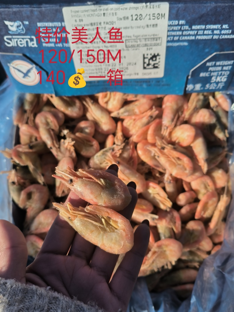 10斤原箱115元北极甜虾头籽虾，肚籽虾，自助餐籽虾等等