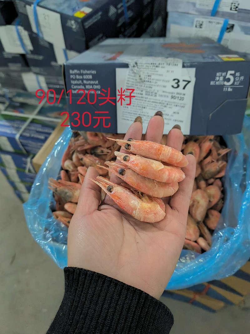 10斤原箱115元北极甜虾头籽虾，肚籽虾，自助餐籽虾等等