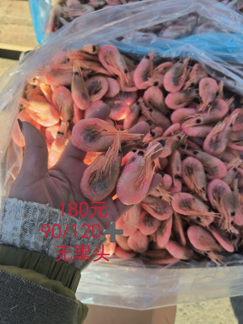 10斤原箱115元北极甜虾头籽虾，肚籽虾，自助餐籽虾等等