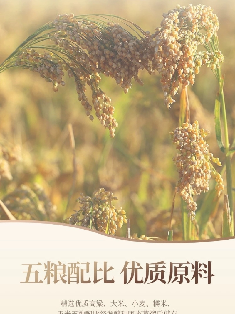 贵州52度浓香纯粮白酒富贵万年木礼盒整箱双瓶手提送礼高端