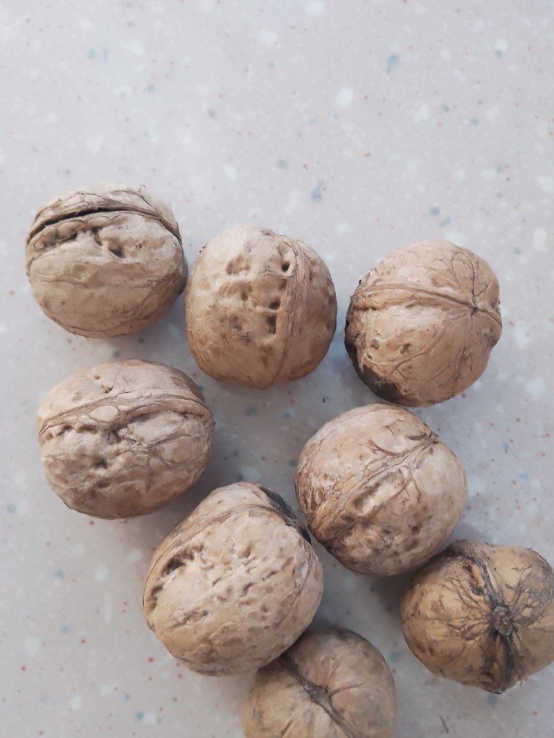 纸皮核桃