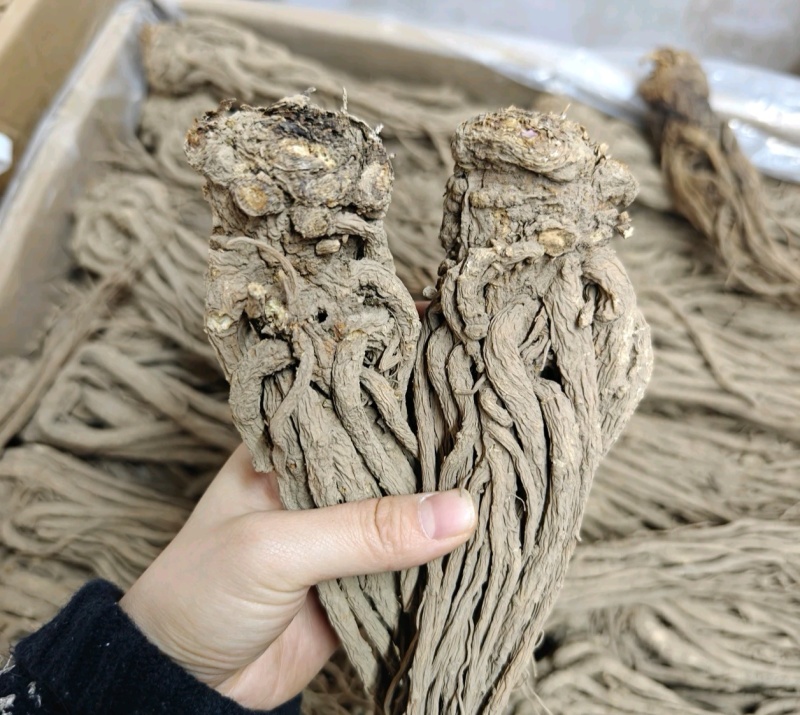 岷县当归中药材甘肃当归当归片干货当归个当归片批发