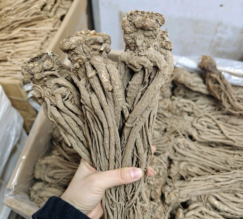 岷县当归中药材甘肃当归当归片干货当归个当归片批发