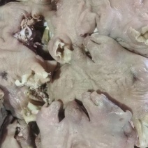 水褪山羊头肉